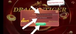 Dragon Tiger Club Card Game Beginner Guide & Winning Tips 5