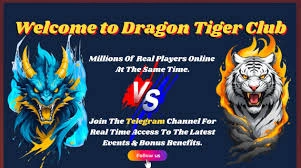 Dragon Tiger Club Card Game Beginner Guide & Winning Tips 4